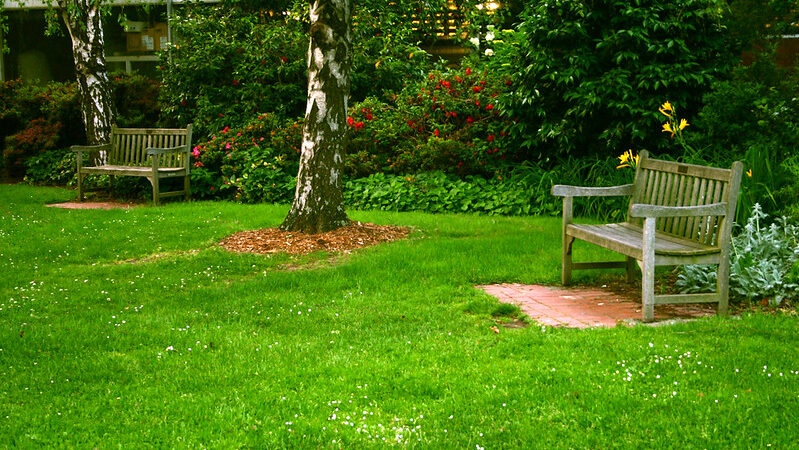 A lush bug free lawn with a nice bench and tree. Made possible by best practices pest control by Local Lawns Georgia.